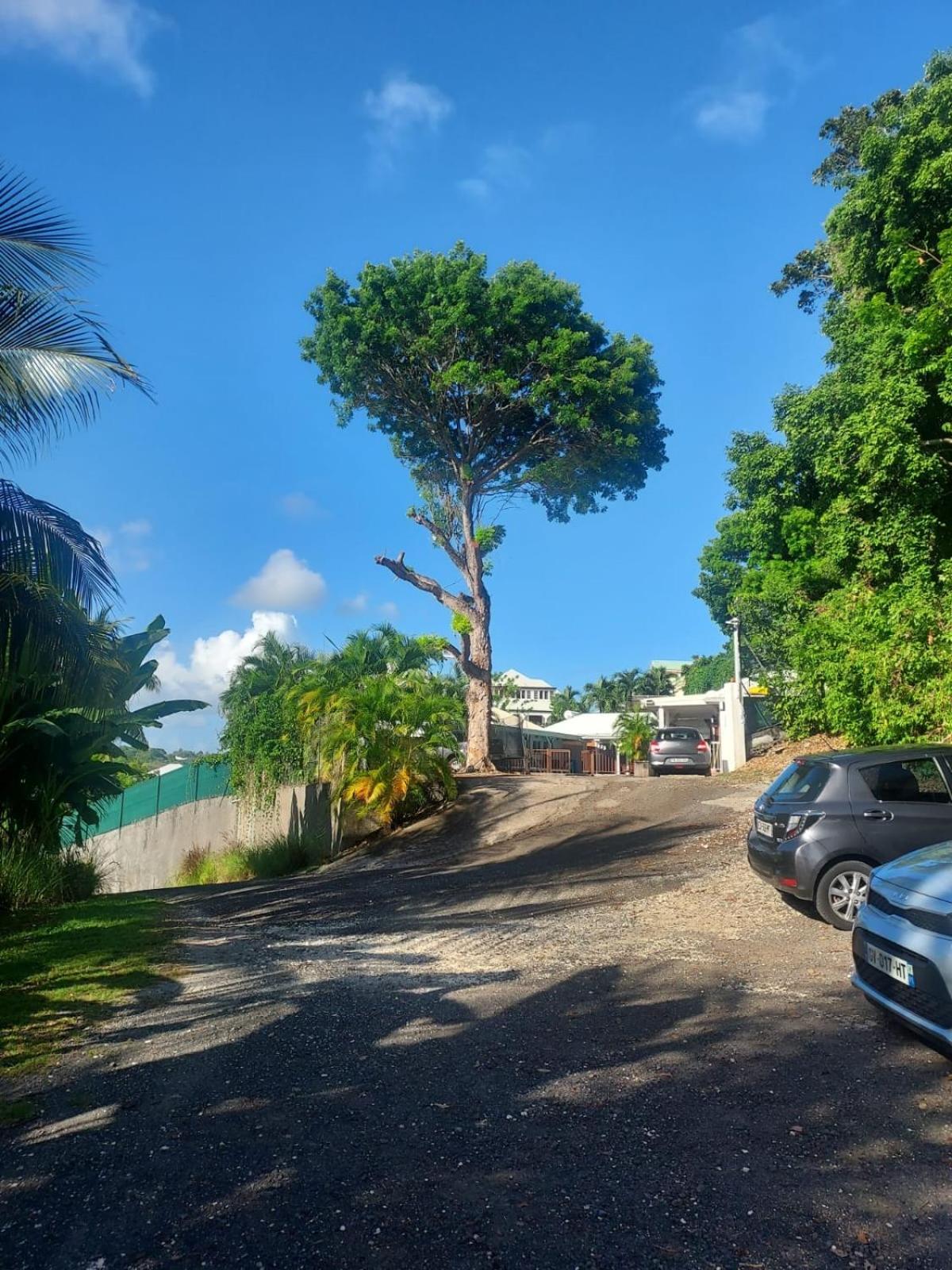 Location Dampierre Apartment Le Gosier  Exterior photo